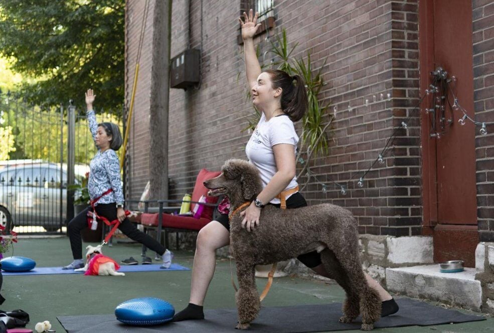 Yoga With Man's Best Friend